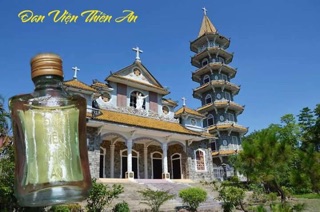 Tinh dầu tràm