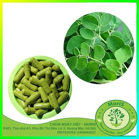 Viên nang Chùm ngây (Pure Moringa Capsures)