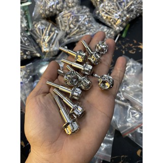 ốc tay thắng Salaya