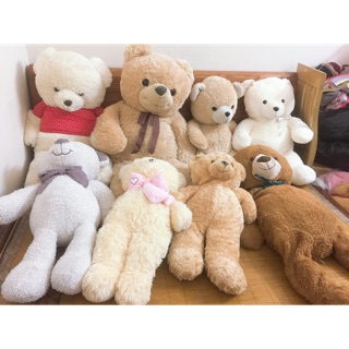 Set gấu Nhi