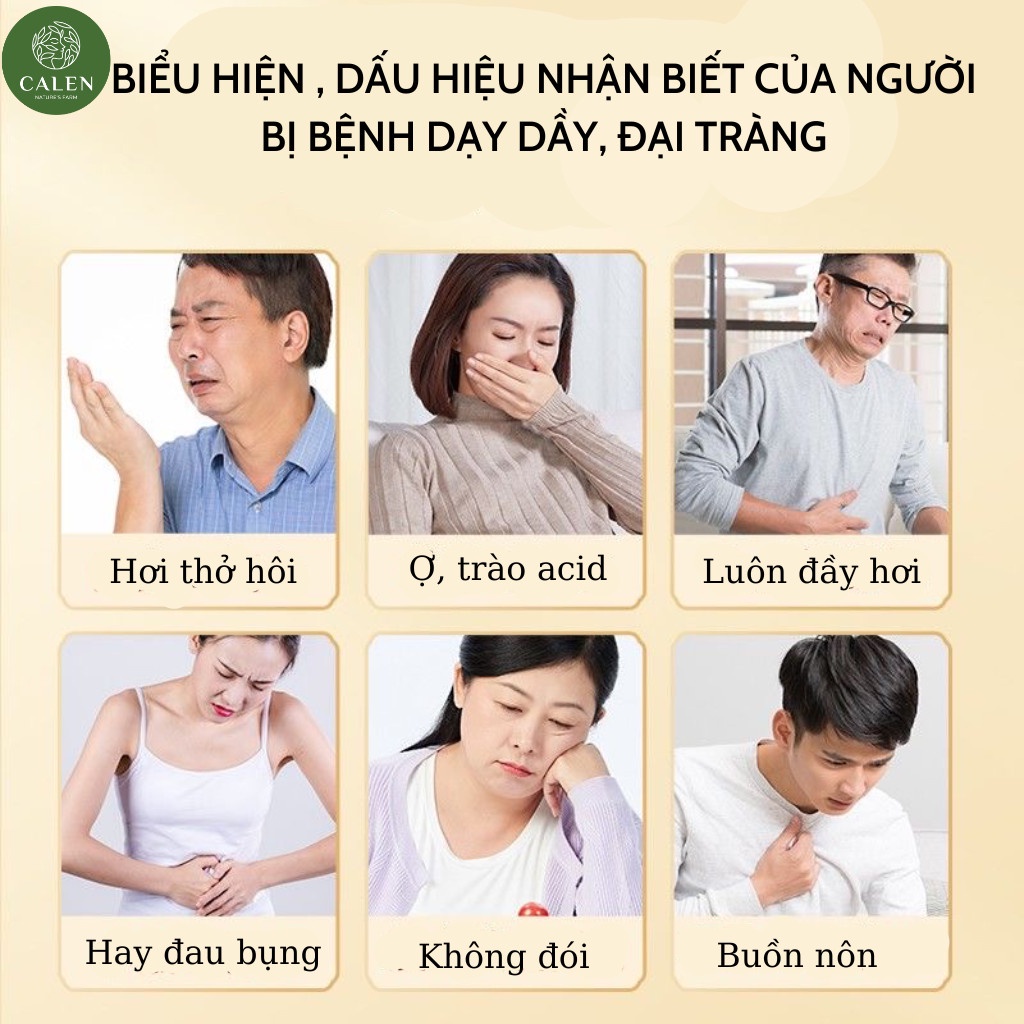 Trà dạ dày đại tràng, chống trào ngược, đầy hơi, ợ chua, ức chế vi khuẩn HP - CALEN NATURE FARM