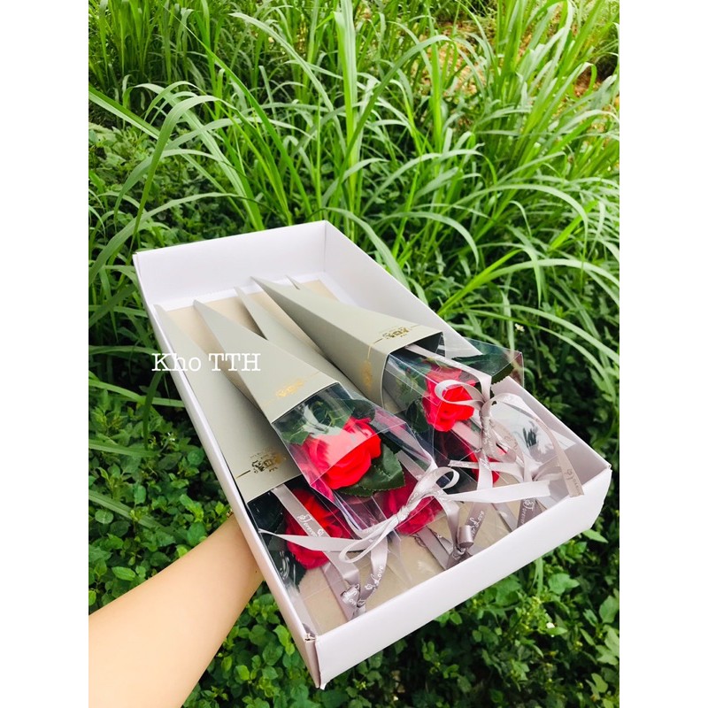 Hoa sáp, hoa nhũ hộp mika