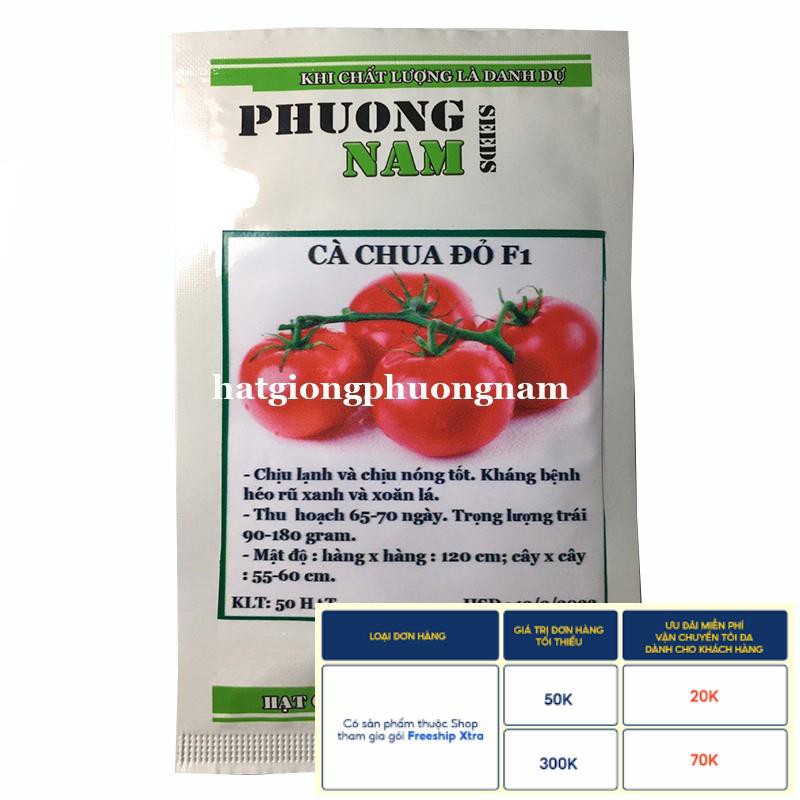 20H - HẠT GIỐNG CÀ CHUA ĐỎ QUẢ TO