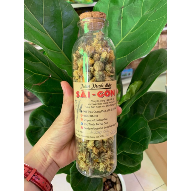 Cúc Nụ 100g (Nụ vàng, thơm, đẹp)