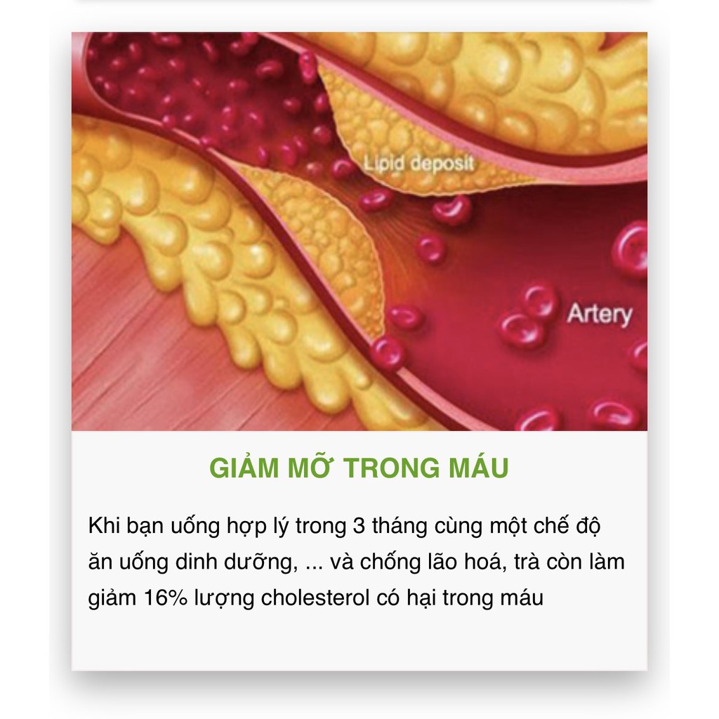 TRÀ SAM HỒNG [ Mua 1 Tặng 1 ] gói       trà cỏ ngọt