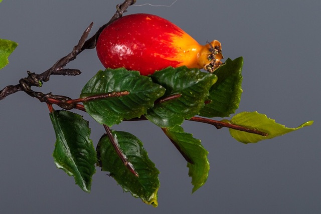 Cành Quả Hoa Hồng Dại -RoseHips -  Decor Trang Trí Nhà Cửa - Phong Cách Vintage