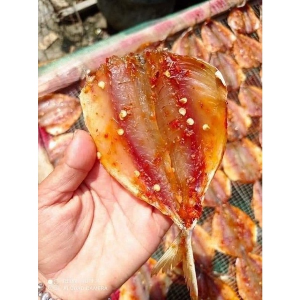 Cá Chỉ Vàng 1 Nắng 500g