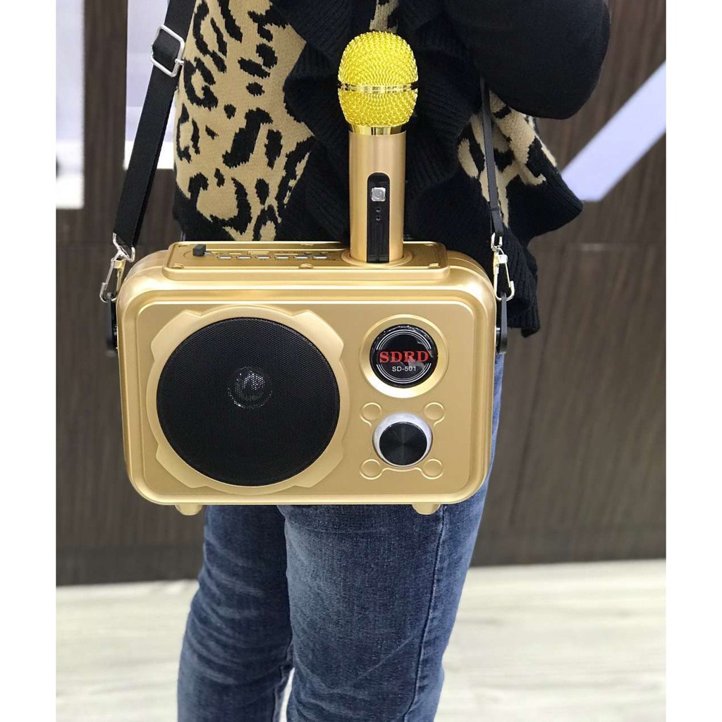 (CÓ DÂY ĐEO) LOA KARAOKE BLUETOOTH SD-501 TẶNG 1 MIC KHÔNG DÂY SIÊU HAY