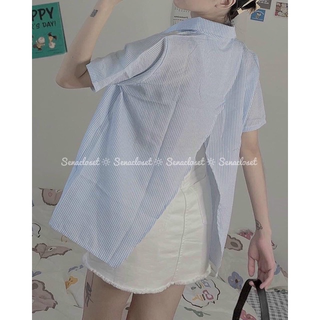 Full set sơmi kẻ xẻ tà sau chất xốp quần short trăng ( Ảnh thật )