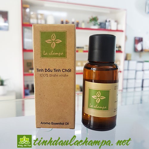 Tinh Dầu Gỗ Hồng Rosewood Oil - hương thơm nồng ấm của gỗ và hoa hồng