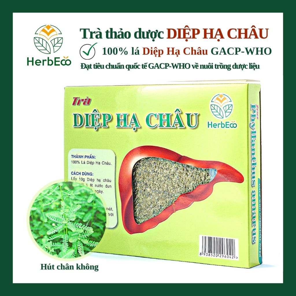 Trà Diệp Hạ Châu HERBECO.Trà thảo mộc, dược liệu cây chó đẻ giúp mát gan
