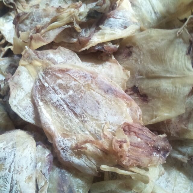 45 Con Mực Xô MiNi hàng ngon ngọt y hình