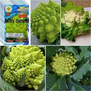 [F1] Hạt Giống Súp Lơ San Hô - 200 hạt