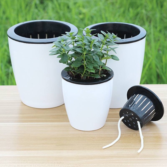 CHẬU NHỰA TỰ DƯỠNG TRỒNG CÂY NỘI THẤT