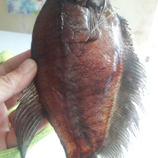 Khô cá bổi cà mau 1kg