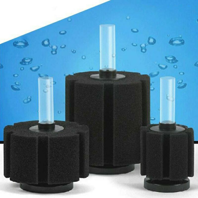 Lọc Sủi vi sinh Bio cho hồ cá cảnh -Milo Guppy