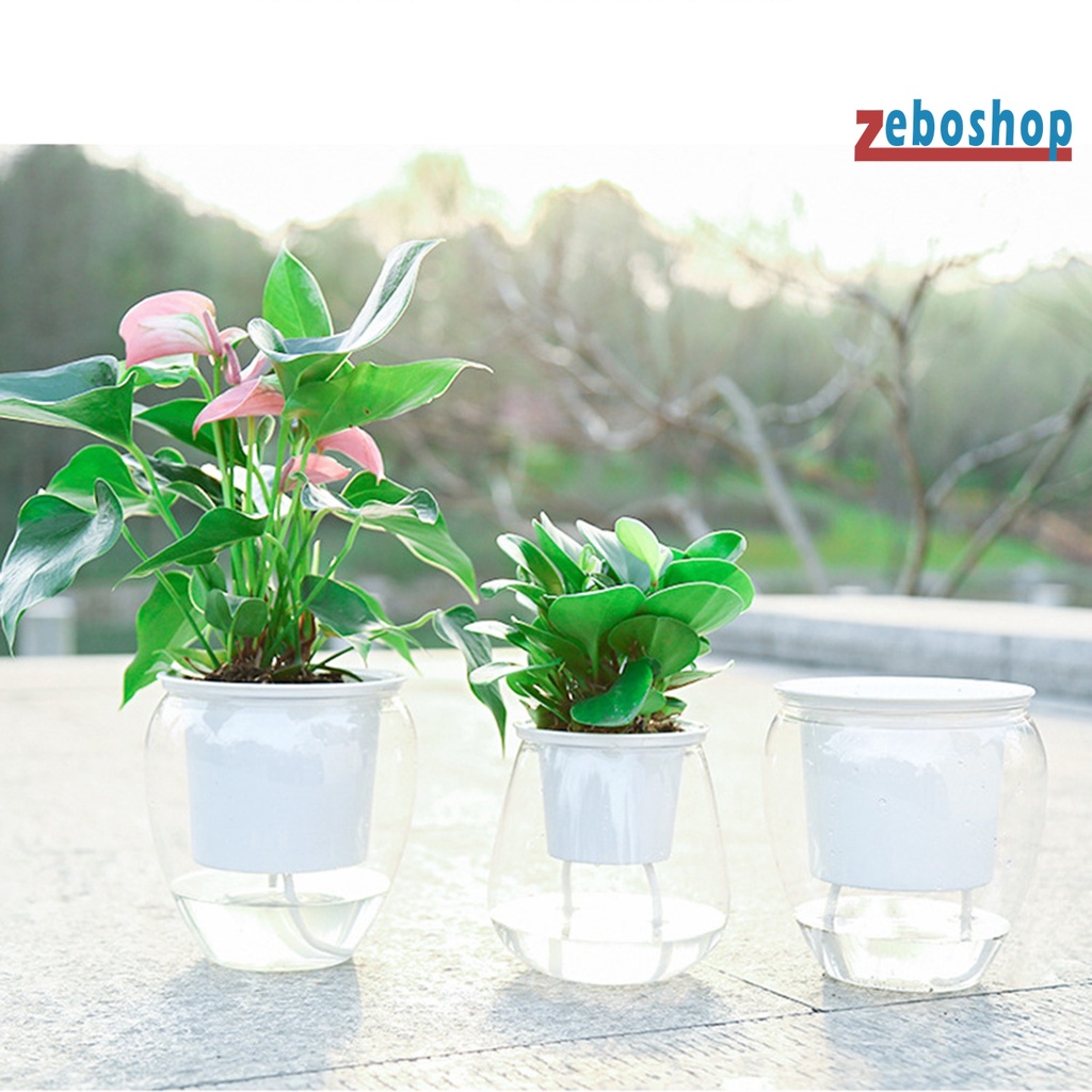 Chậu Nhựa Trồng Cây Tự Tưới Trong Suốt