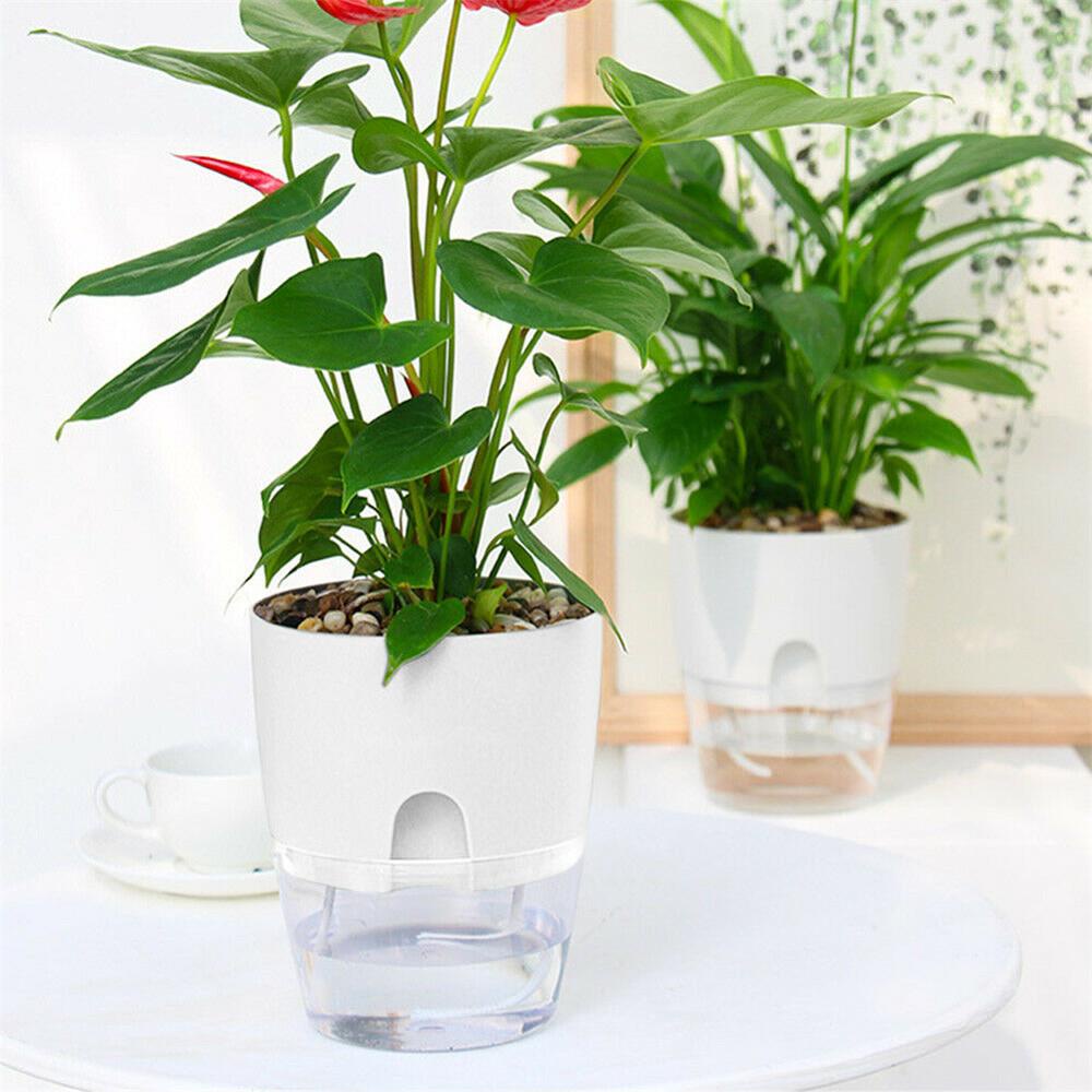 Chậu Trồng Cây Thủy Canh 2 Tầng Hình Tròn Trong Suốt Kèm Dây cotton Tiện Dụng