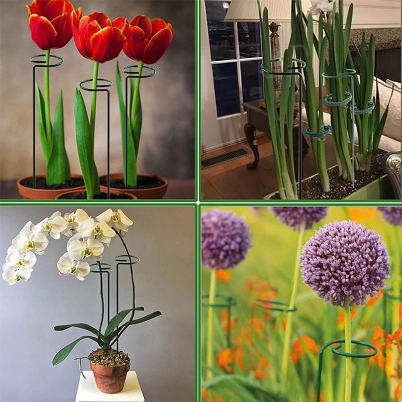 Hot sale! Thanh Đỡ Hỗ Trợ Trồng Cây Cà Chua amaryllis