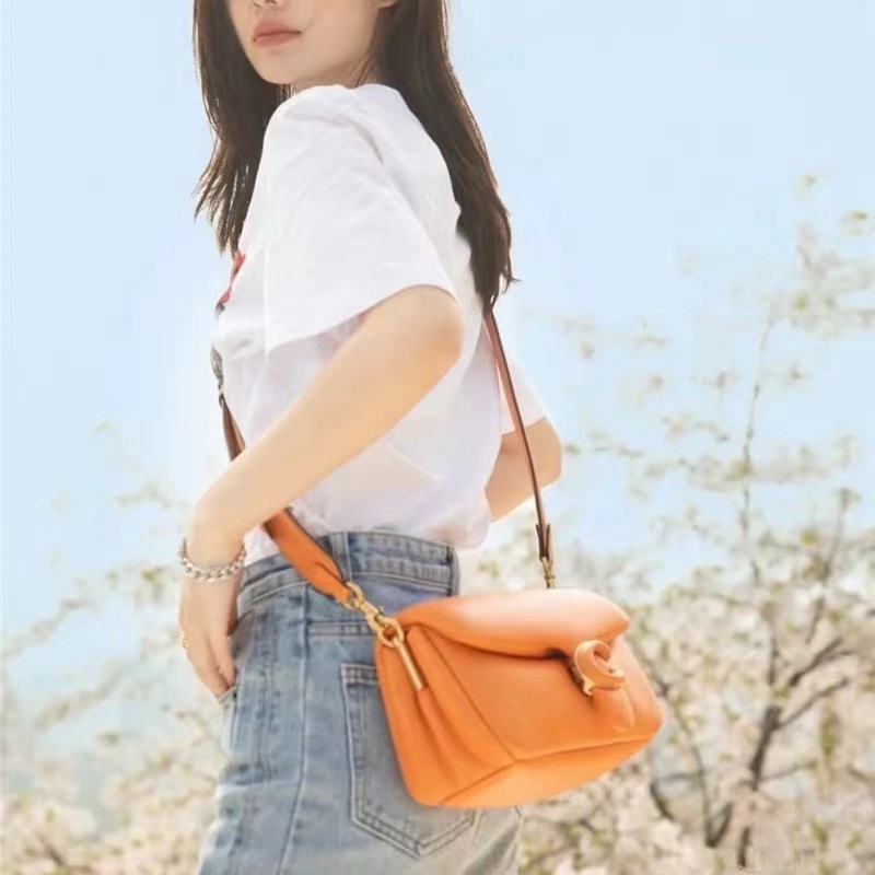 Túi Đeo Chéo Da Cừu Mềm COACH 3880