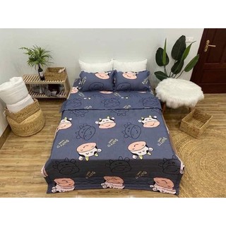 Bộ gra giường 3 món ( 1 gra + 2 vỏ gối nằm)