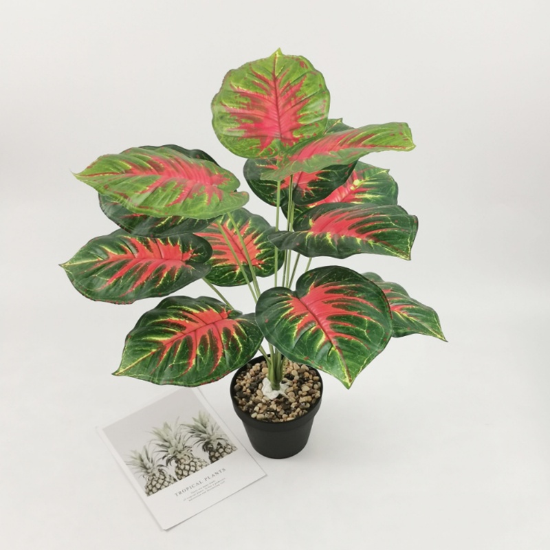 Cây Giả - Cây trầu bà, vạn niên thanh (không kèm chậu) 12 lá cỡ 54 cm trang trí không gian gia đình, văn phòng...