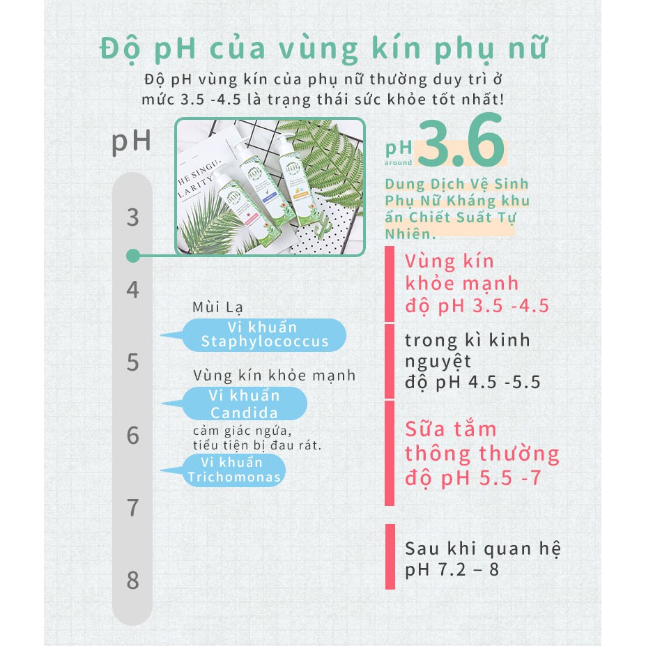 【Bộ sản phẩm chăm sóc vùng kín Phụ nữ 】Dung Dịch Vệ Sinh HH + Kem dưỡng hồng và se khít vùng kín HH + Xịt Phụ Khoa HH