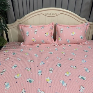 Ga gối cotton Trần chun