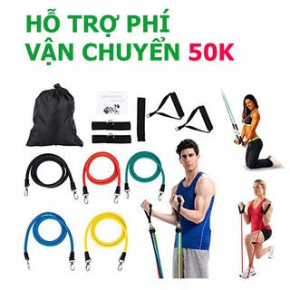 Bộ dây tập đàn hồi thể hình cao cấp MTP 881
