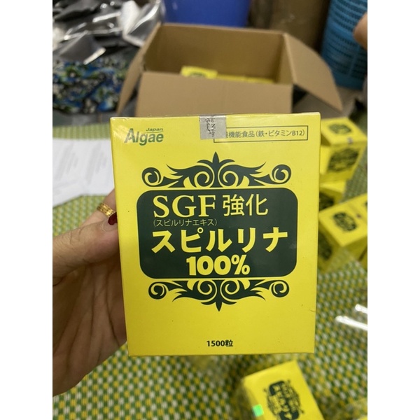 Tảo xoắn uống, cấy, ủ dưỡng trắng da