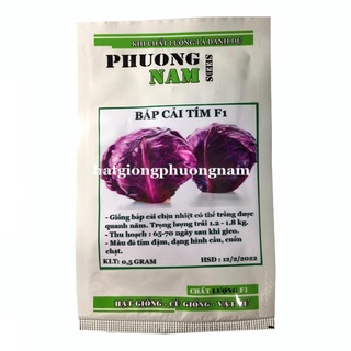 0,5 GR - HẠT GIỐNG BẮP CẢI TÍM