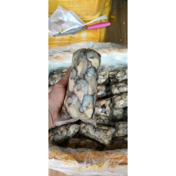 1KG HÀU SỮA PHÚ QUỐC THIÊN NHIÊN