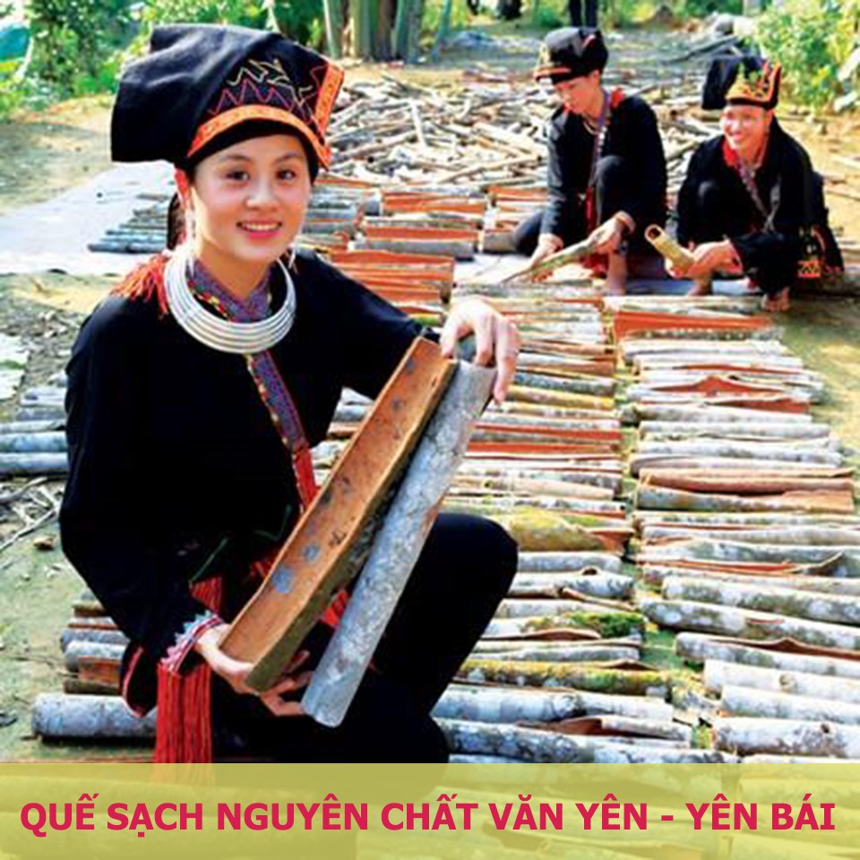 Tinh dầu quế sạch nguyên chất Văn Yên - Yên Bái (100% tự nhiên)