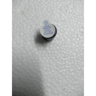 Gói 10 Còi chip 5V