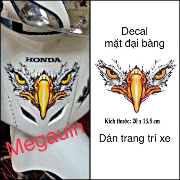 Decal mặt đại bàng 3 lớp chống nước (giá 1 cái)