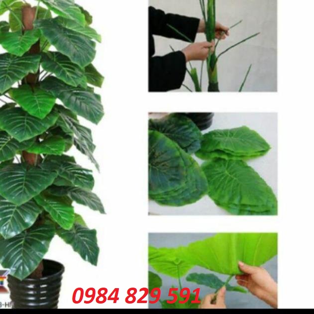 Trầu bà leo cột 1.6m, cây lá to, tán dày-Cây giả