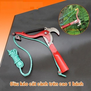Đầu kéo cắt cành trên cao