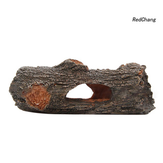 Thân Cây Gỗ Dùng Trang Trí Bể Cá