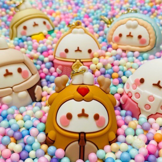 CÓ SẴN-Loại 1 Thỏ Molang mập mạp siêu đáng yêu❤️