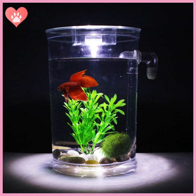 Ecological Fish  Bowl Slacker Desktop Case Self-cleaning Aquarium Mini Fish