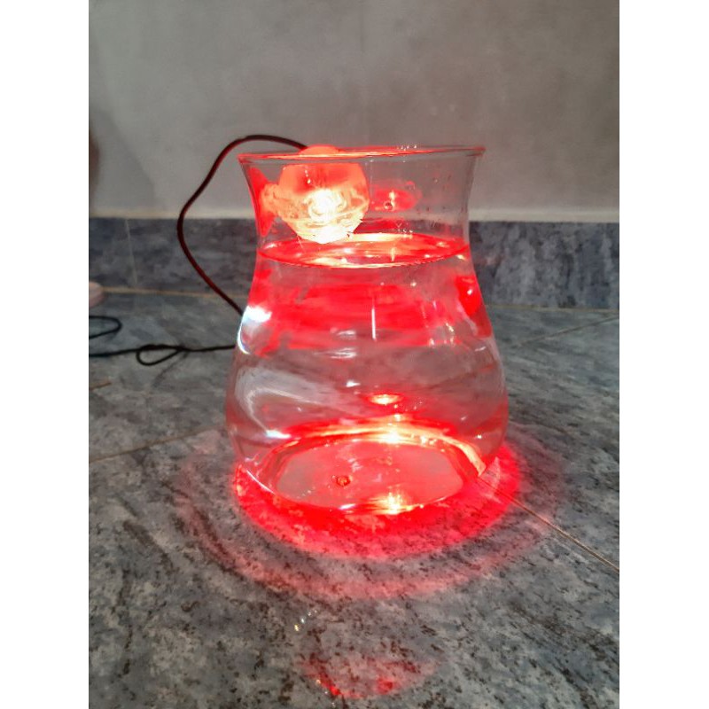 Ly Nuôi Cá MiNi Và Trồng Cây Thủy Sinh Dáng Bầu