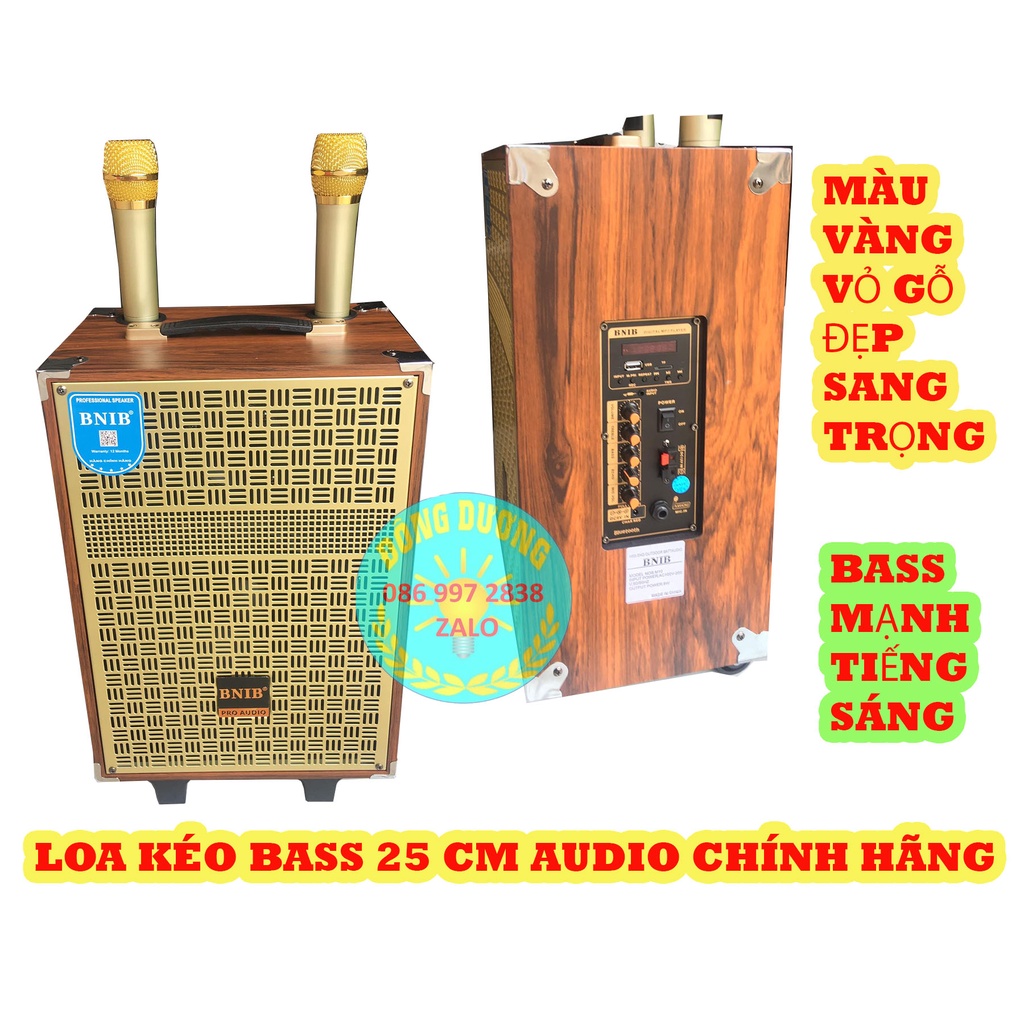 [Mã ELHACE giảm 4% đơn 300K] LOA KÉO DI ĐỘNG BASS 25 BNIB M1 CHÍNH HÃNG - MÀU GOLD SANG TRỌNG - LOA KÉO BASS 25