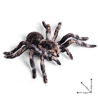 Set 2 Con Nhện Giả Kích Thước 9.5cm