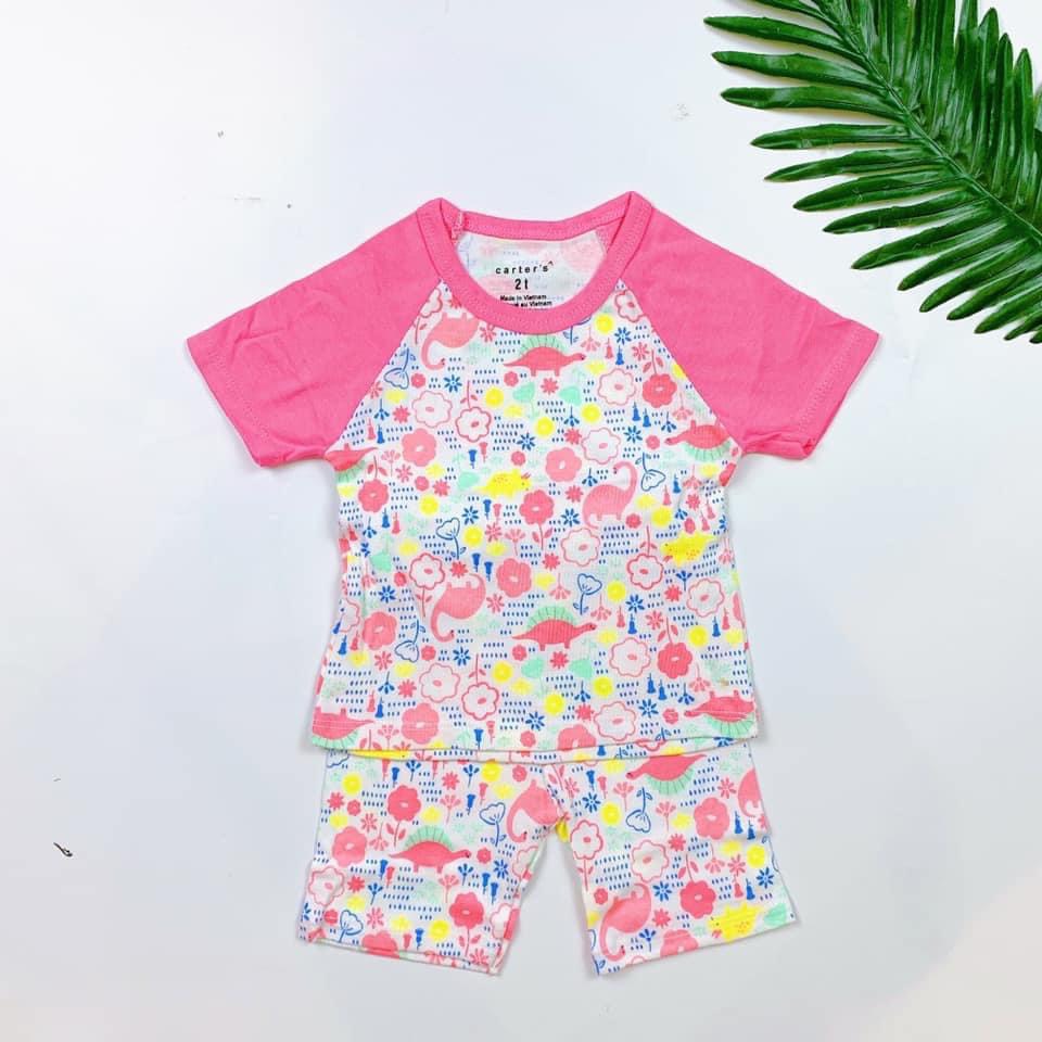 Đồ Bộ Giáp Lăng Thun Cotton Bé Gái Từ 6 Tháng - 4 Tuổi