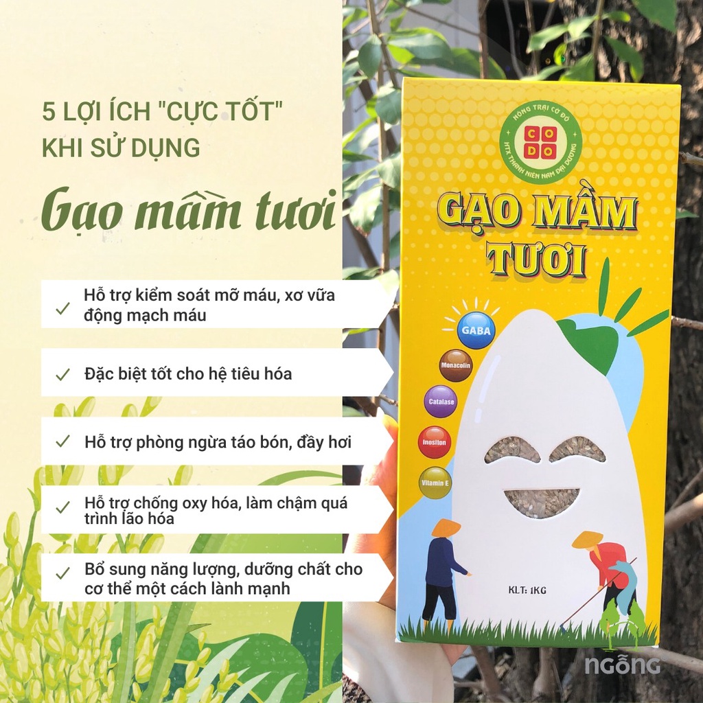 Gạo Mầm Tươi 1kg