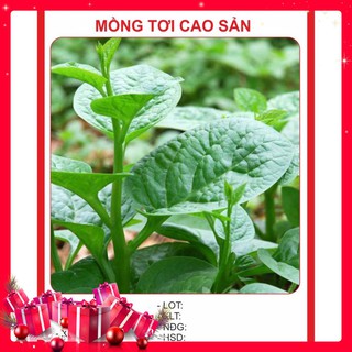 Hạt Giống Mồng Tơi Cao Sản 20gr