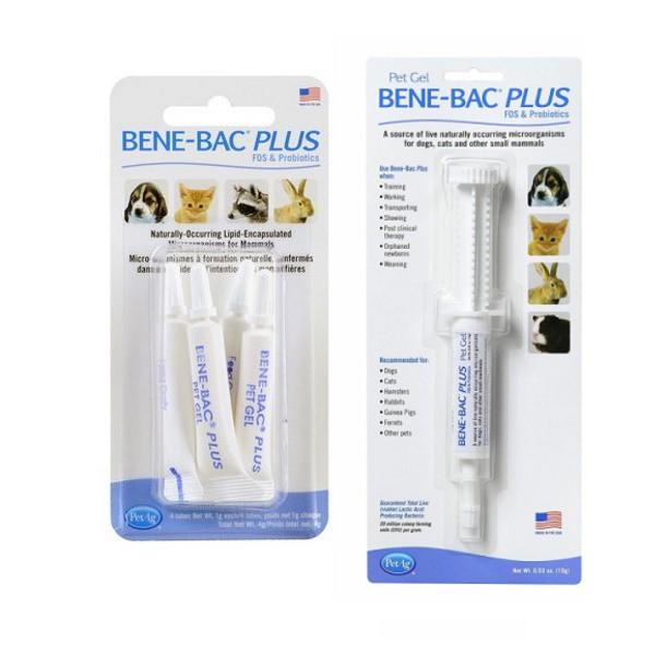 Men tiêu hóa cho chó mèo thú cưng Bene Bac Plus dạng Gel 15G