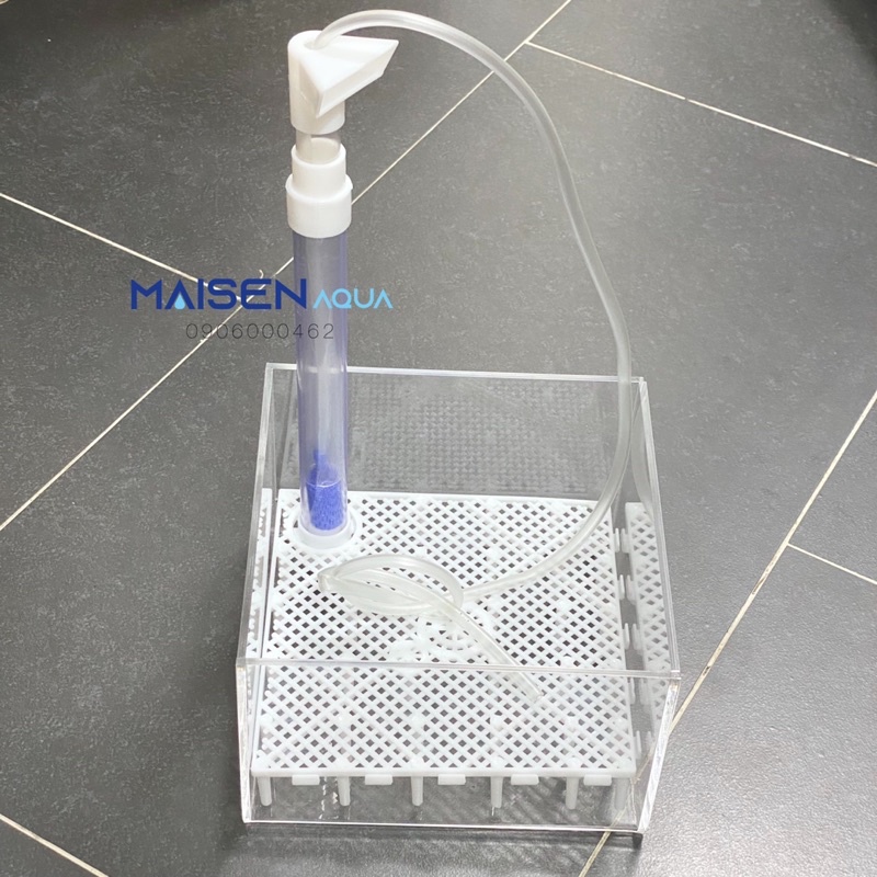 Bộ Lọc Đáy Taiwan Cho Hồ Tép Sula, Tép Lạnh, Tép Màu, Cá Guppy