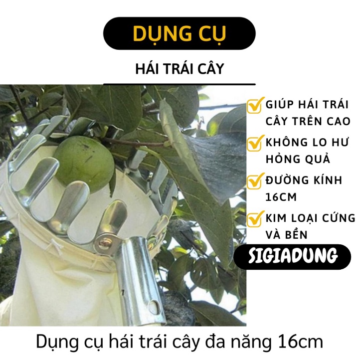 [SGD] Dụng Cụ Háo Trái Cây - Vợt Hái Quả Trên Cao Dễ Dàng Đường Kính 16cm 6943