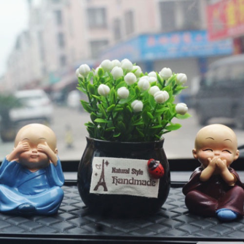 Chậu cây mini trang trí taplo ô tô, xe hơi, bàn làm việc